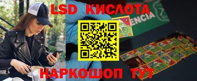 шишки Гагарин