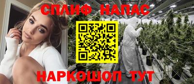 стаф Тверь