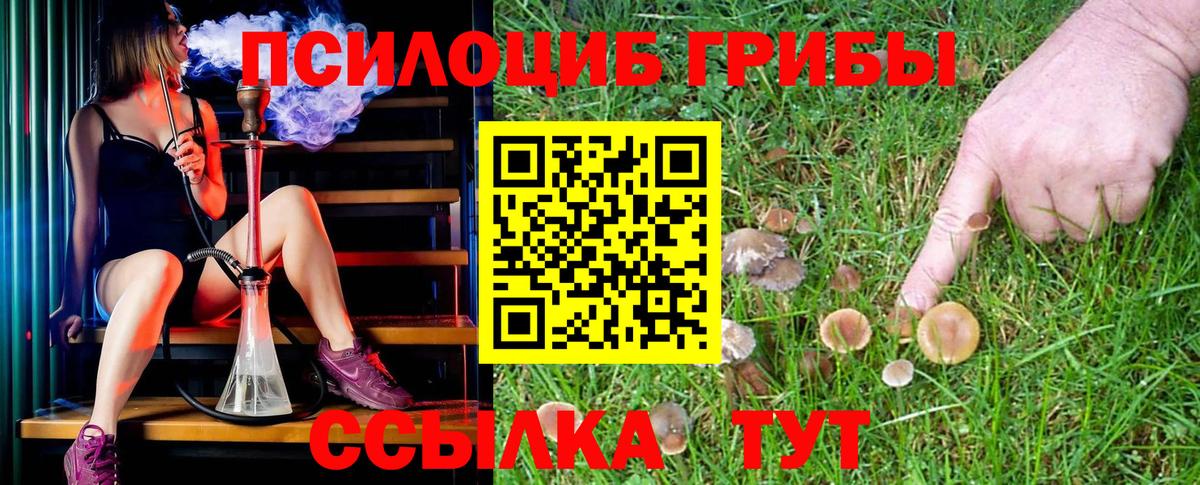Псилоцибиновые грибы GOLDEN TEACHER Междуреченск